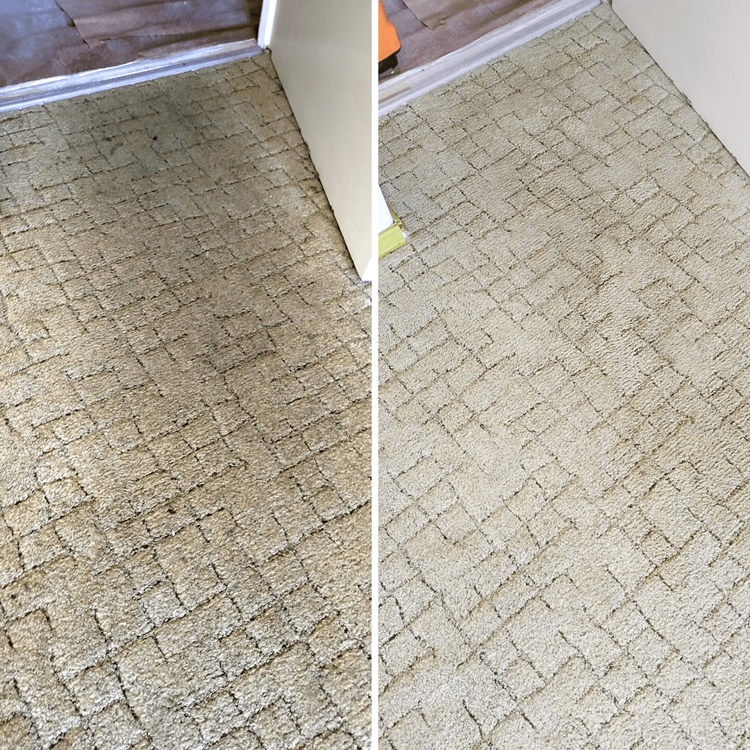 karpittisztitasmohacs-015