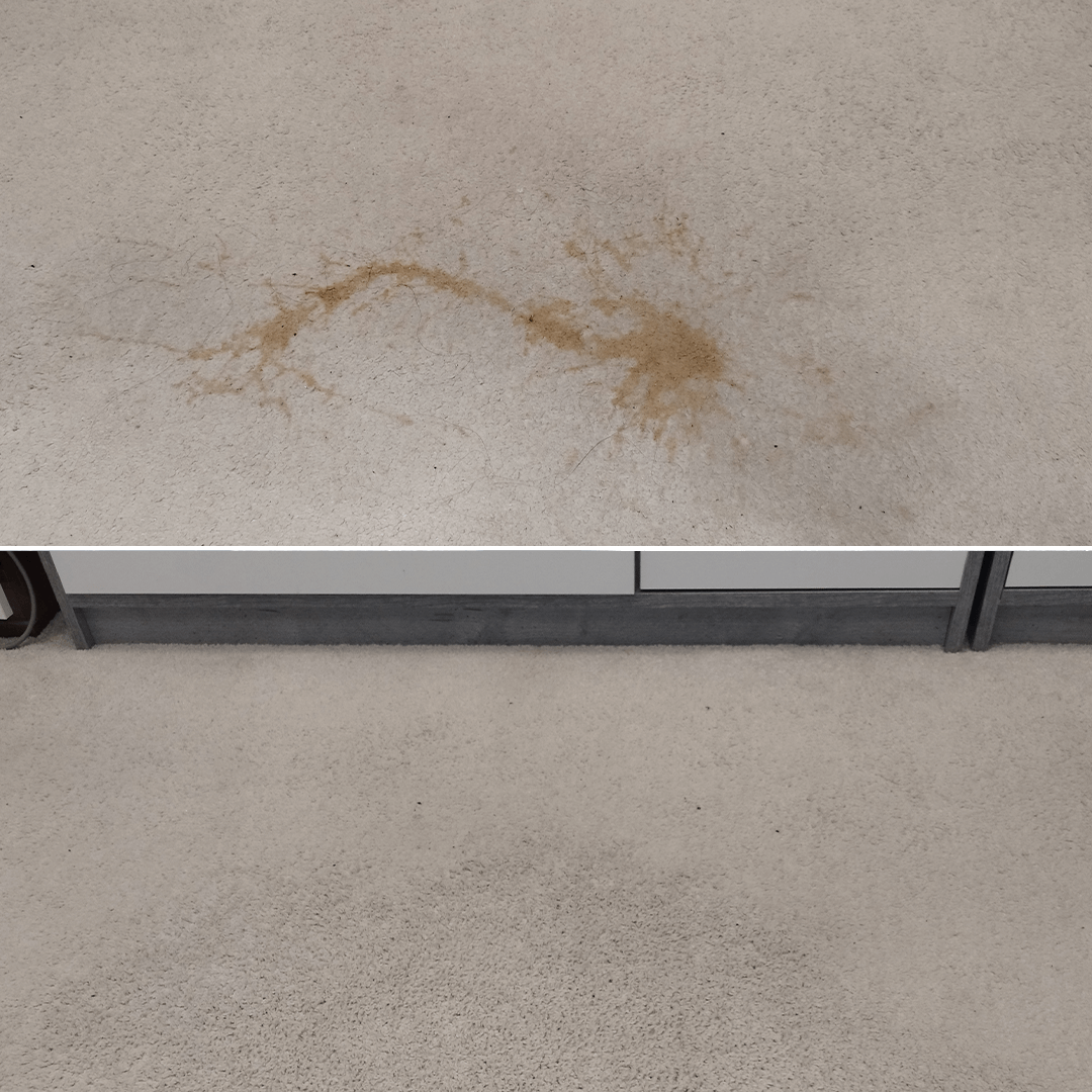 karpittisztitasmohacs-017