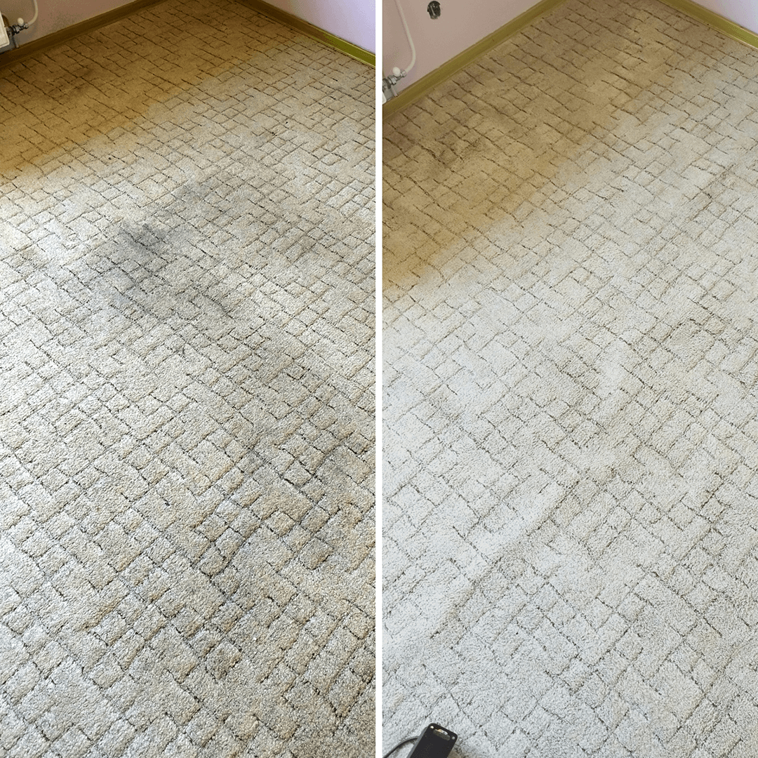 karpittisztitasmohacs-04